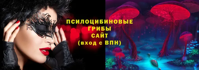 Галлюциногенные грибы мицелий  Грязовец 